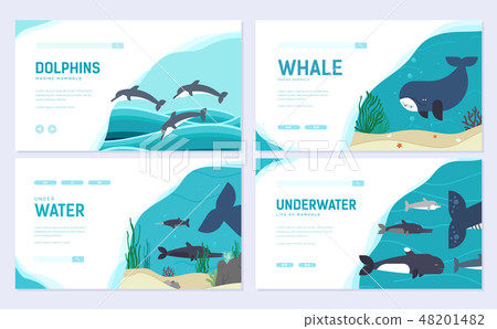Set of Sea mammals. Art animal brochure card set. fish in ocean life template of flyear, web banner Set of Sea mammals. Art animal brochure card set. fish in ocean life template of flyear, web banner 48201482