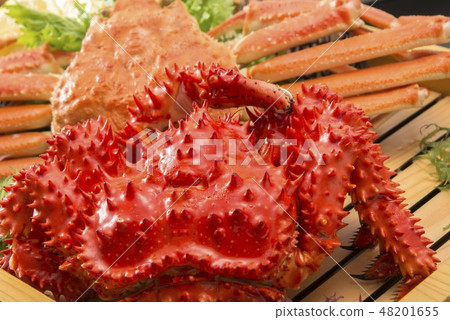 Fresh and tasty crab dishes of Hokkaido 48201655
