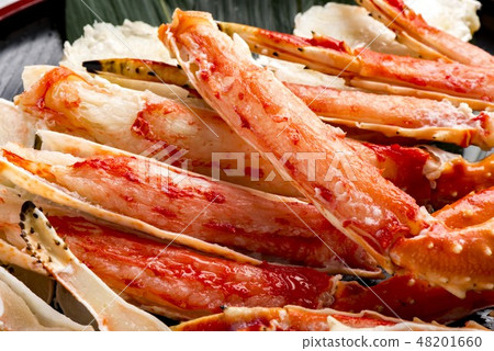 Fresh and tasty crab dishes of Hokkaido 48201660