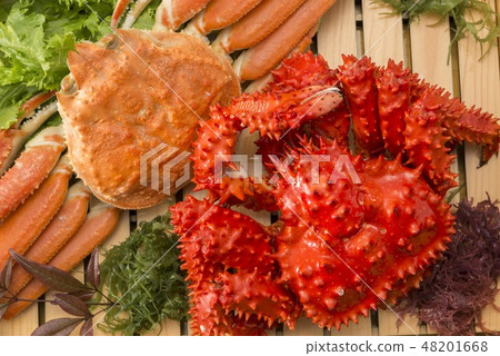 Fresh and tasty crab dishes of Hokkaido 48201668
