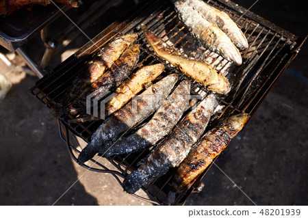 Grilled fish on a grill, fish Grilled fish on a grill, fish 48201939