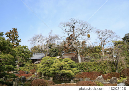 Japanese Garden View of Seongnam Palace (Kyoto City) Japanese Garden View of Seongnam Palace (Kyoto City) 48202428