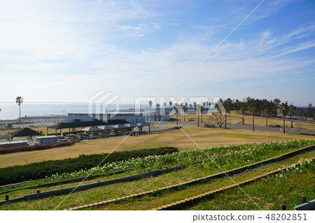 大阪縣Nikitami Beach Beach Area 大阪縣Nikitami Beach Beach Area 48202851