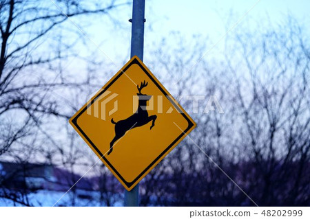 Road sign animal attention 48202999