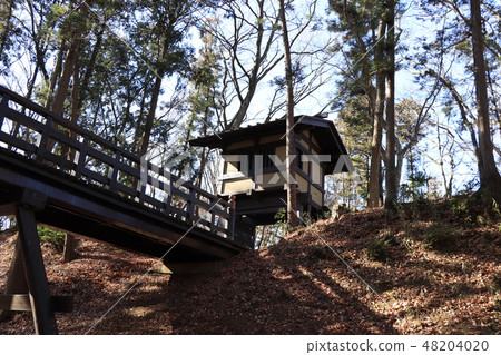 Akaii Castle Ruins (Temple) 48204020