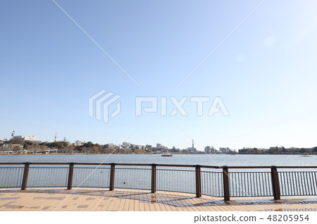 森巴湖2月茨城縣水戶市 48205954