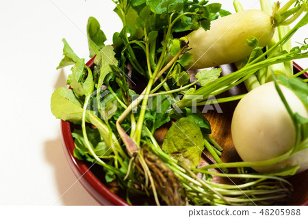 Seven herbs of spring Seven herbs of spring 48205988