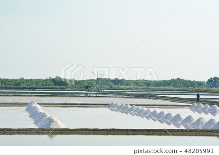 Shiota，臨時鹽場景觀（鹽田景觀，鹽場） 48205991