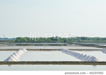 鹽農場在中央泰國看見的泰國 48205992