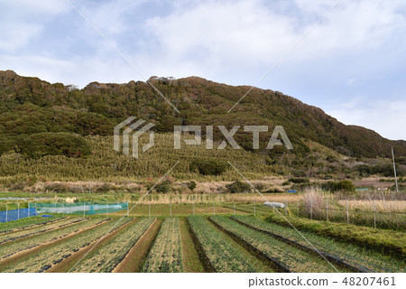 白濱城堡軌道全景 48207461