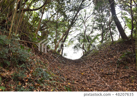 Inamura Castle Ruins Horikiri 48207635
