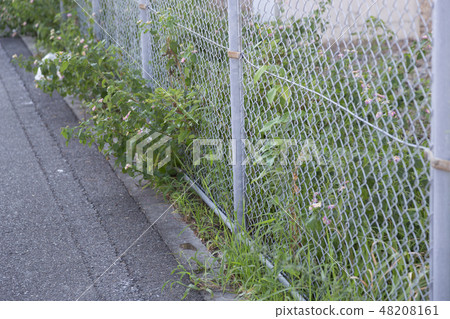 雜草的道路 48208161