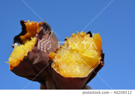 Moist sweet potato sweet, silk sweet, blue sky 48208512