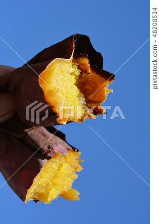 Moist sweet potato sweet, silk sweet, blue sky 48208514