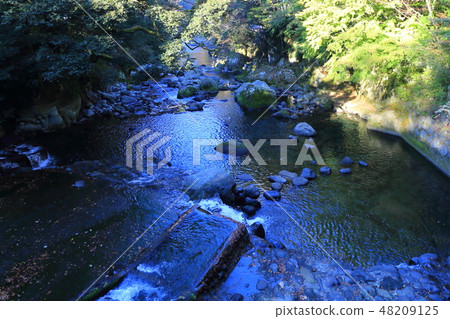 伊豆Yogashima Ochiai風景 48209125