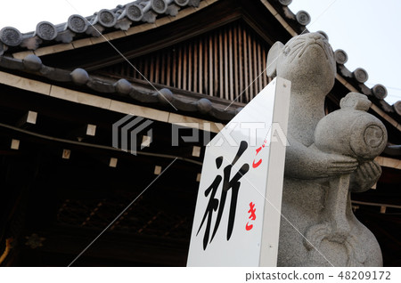 Ratsatsu Matsuyuki的老鼠 Ratsatsu Matsuyuki的老鼠 48209172