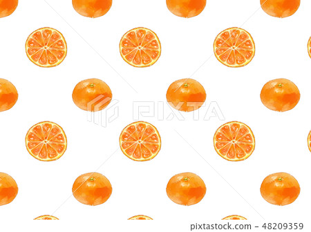 橘子背景 48209359