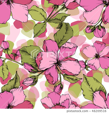 Vector Pink Apple blossom floral botanical flower. Engraved ink art. Seamless background pattern. 48209516