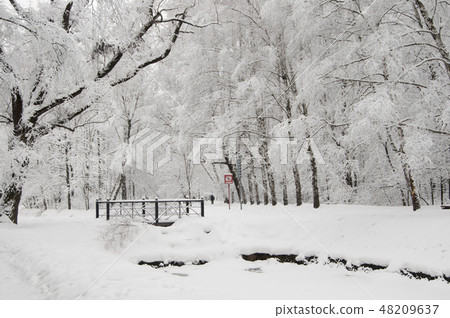 Winter landscape with a park 48209637