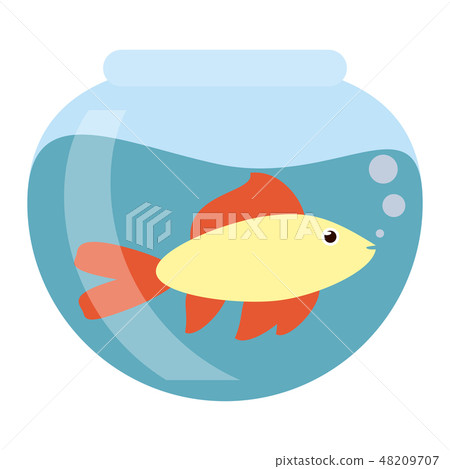 Fish in crystal bowl 48209707