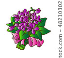 Violet illustration 48210302