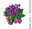 Violet illustration 48210303