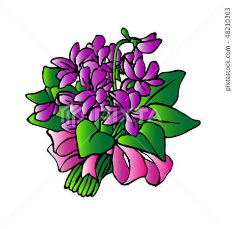 Violet illustration Violet illustration 48210303