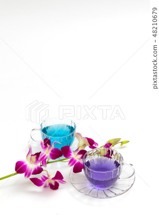 Herbal tea in the world Herbal tea of the world Herbal tea in the world Herbal tea of the world 48210679