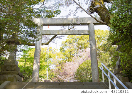 Hotoku Ninomiya Shrine Hotoku Ninomiya Shrine 48210811