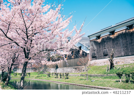 Nakashojima的櫻花和啤酒廠 Nakashojima的櫻花和啤酒廠 48211237