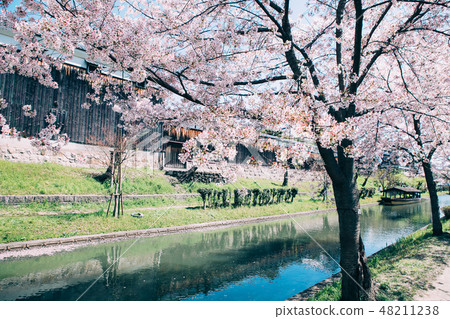 Nakashojima的櫻花和啤酒廠 Nakashojima的櫻花和啤酒廠 48211238