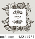 Beautiful card with a square frame with wreath of different plants of vintage garden and forest 48211575