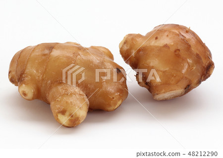 Soil ginger 48212290