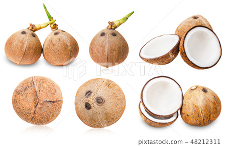 Collection of coconuts isolated. 48212311