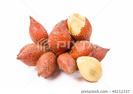 Snake Fruit, Salak or Sala Fruit of Thailand. Snake Fruit, Salak or Sala Fruit of Thailand. 48212337