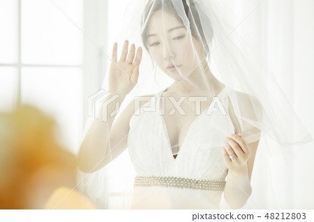 Wedding, wedding, wedding, wedding dress, sexy, young woman 48212803