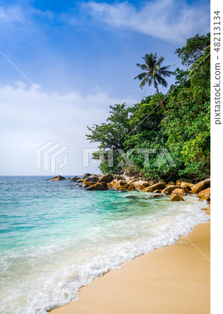 Turtle Beach, Perhentian Islands, Malaysia Turtle Beach, Perhentian Islands, Malaysia 48213134