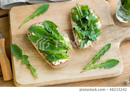 Slices of sourdough bread with dandelion leaves Slices of sourdough bread with dandelion leaves 48213242