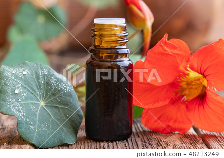 Nasturtium tincture with fresh Tropaeolum majus Nasturtium tincture with fresh Tropaeolum majus 48213249