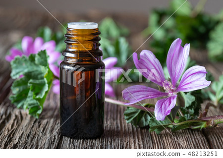 A bottle of common mallow essential oil  48213251