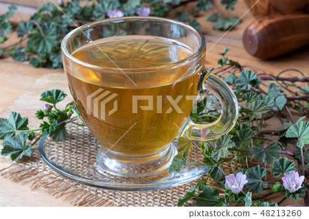Cup of dwarf mallow tea with fresh blooming plant 48213260