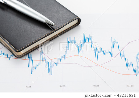 Stock price 48213651