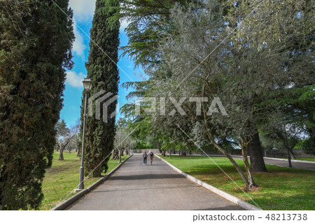 Hadrian's villa (Villa Adriana) Road between olive trees [Tivoli, Italy] 48213738