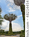 Gardens by the Bay Super Tree 48214454