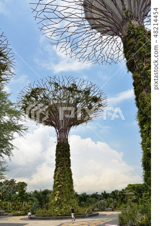 Gardens by the Bay Super Tree 48214454
