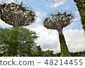 Gardens by the Bay Super Tree 48214455