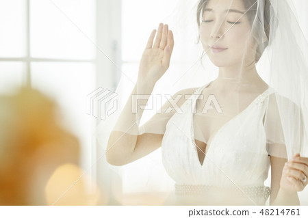Wedding, wedding, wedding, wedding dress, sexy, young woman 48214761