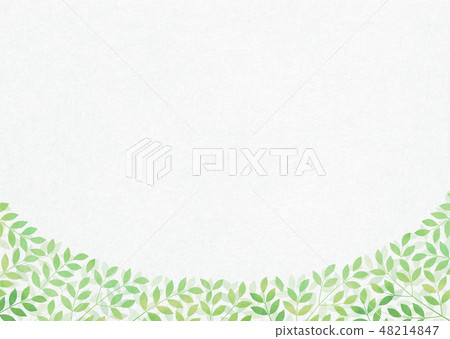 Watercolor leaf frame, young leaves, green leaves, fresh green Watercolor leaf frame, young leaves, green leaves, fresh green 48214847