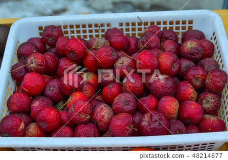 Frozen apple fruits at local market Frozen apple fruits at local market 48214877