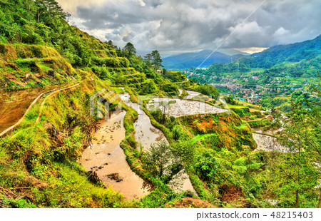 Banaue Rice Terraces - northern Luzon, UNESCO world heritage in Philippines. 48215403